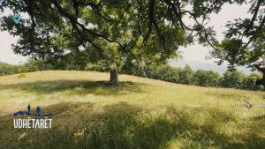 The Grassland of the Turk / Euronews Albania
