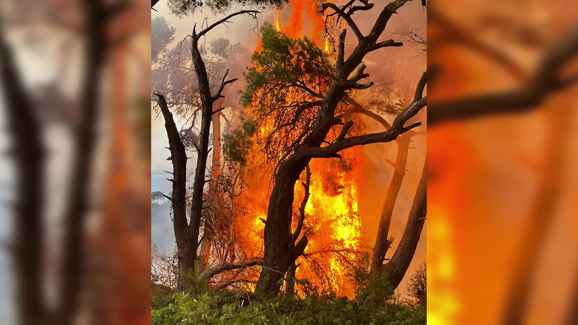 Fires at Sazan Island / Euronews Albania