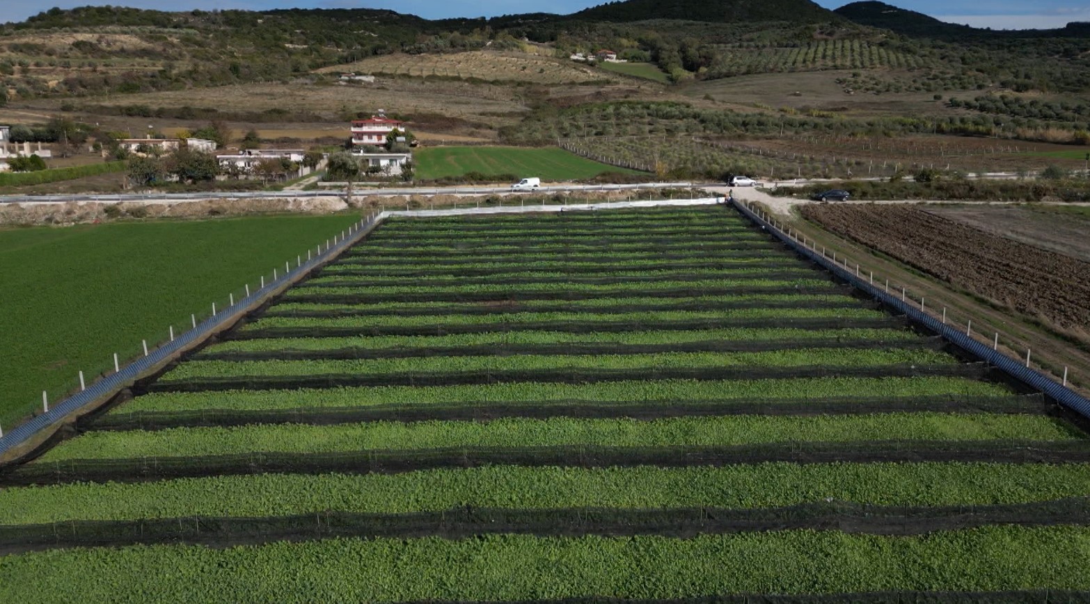 More than 32,000 applications submitted for agricultural support funds, farmers have until June 26 to apply