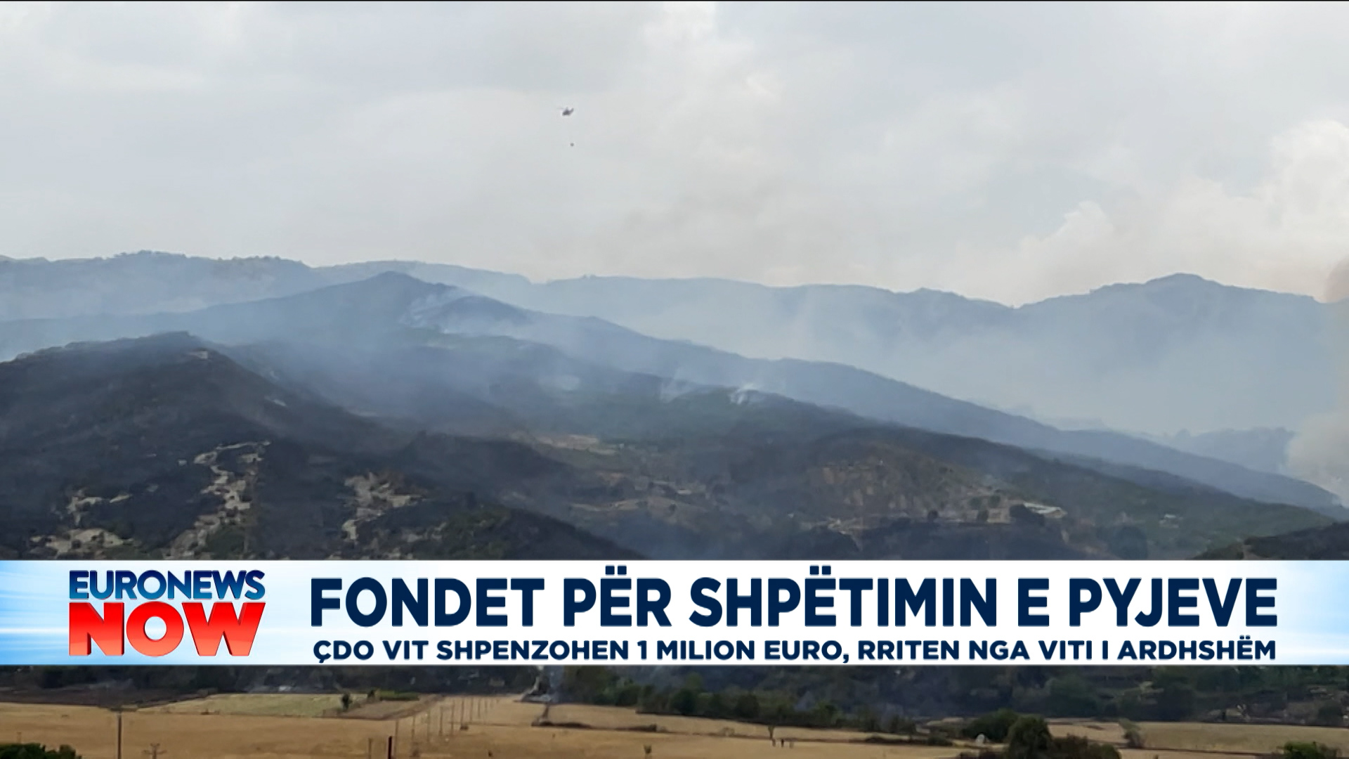 Fondet për shpëtimin e pyjeve, çdo vit shpenzohen 1 mln euro