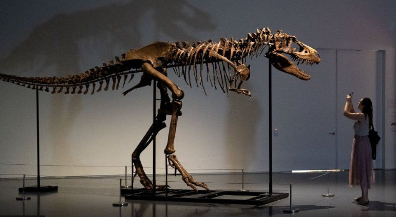Skeleti i dinozaurit shitet në ankand për mbi 6 mln dollarë