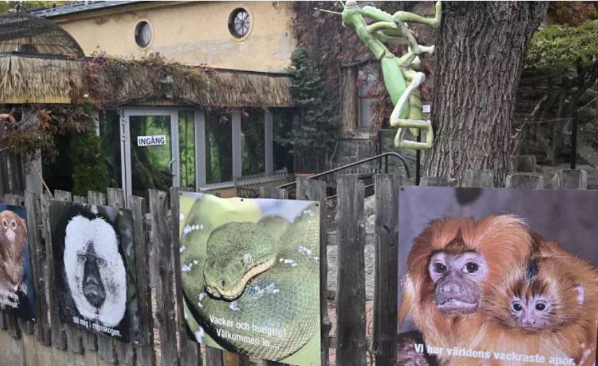 Kopshti zoologjik mbyllet pjesërisht pas arratisjes së kobrës helmuese