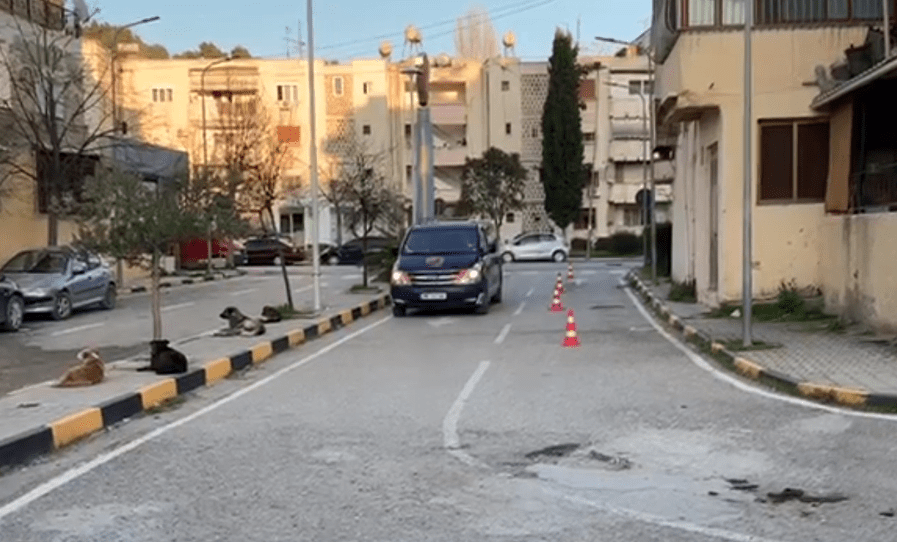 Arrestohet në Vlorë i shumëkërkuari nga policia spanjolle për trafik droge