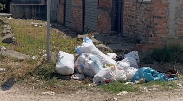 Fshatrat e Shijakut “pushtohen” nga mbeurinat