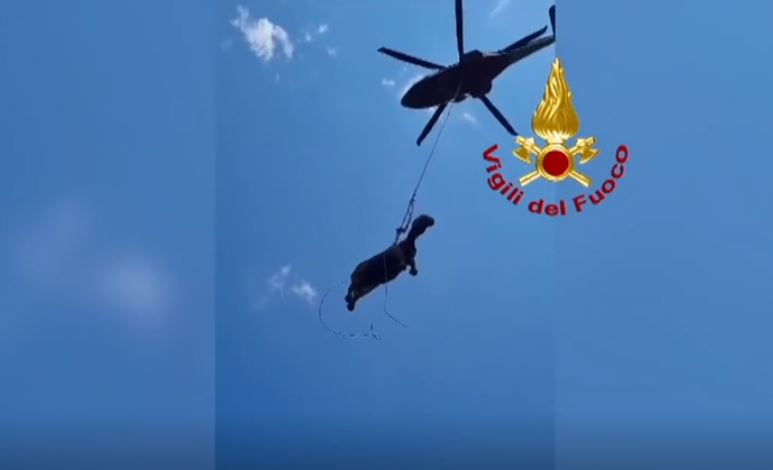 VIDEO| Kali ngec në gropën e thellë, marrin helikopterin për ta shpëtuar