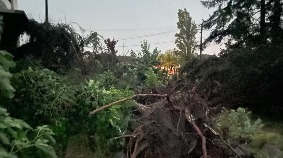 Stuhi tjetër vdekjeprurëse në Serbi, vdesin një fëmijë dhe një grua