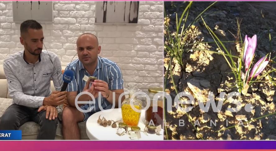“2 mijë lekë të reja grami”, kultivuesi i shafranit: Ja pse ma kërkojnë më shumë
