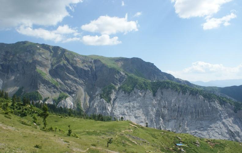 E trishtë/ Po kulloste bagëtitë, goditet nga rrufeja dhe vdes 70-vjeçari