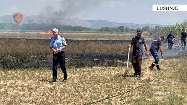Dogji 30 hektarë me vreshta, arrestohet 19-vjeçari, në kërkim personi që e “punësoi”
