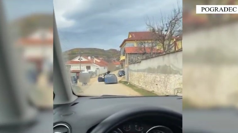 VIDEO| Mbi kabinën e makinës duke kryer manovra, ‘e pëson’ 20-vjeçari në Pogradec