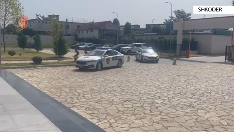 Shiste kanabis në Velipojë, arrestohet 24-vjeçari nga Laçi