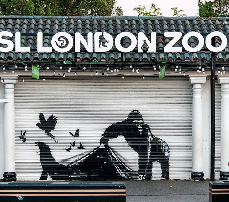 “Po arratisen nga kopshti zoologjik”, Banksy konfirmon veprën e 9 në Londër