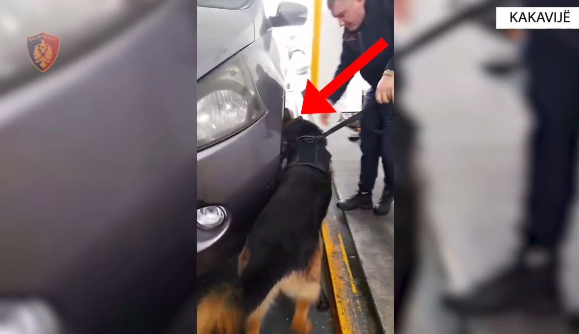 Tentuan të kalonin mbi 63 kg kanabis drejt Greqisë, arrestohen 2 persona