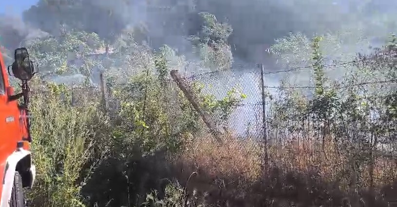 Flakët rrezikojnë banesat në Lazarat  zjarrfikësit ndërhyjnë për shuarjen e zjarrit