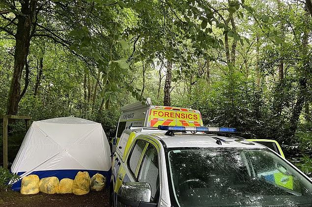 E rëndë në Britani, policia zbulon dhjetëra trupa në një pyll në Cornwall