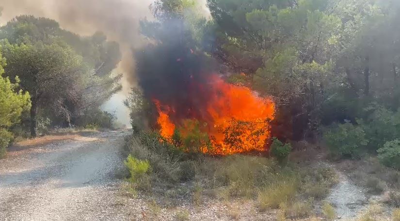 Zjarr në pyllin mes Patosit dhe Mallakastrës, ndërhyjnë emergjencat dhe helikopteri
