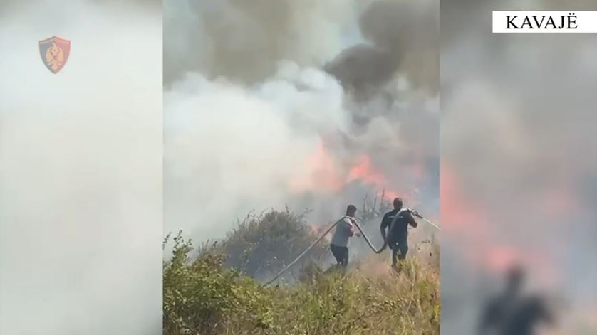 Shkaktuan zjarr nga djegia e mbeturinave, arrestohen autorët në Kavajë