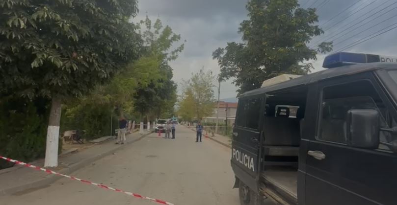 Shkoi për t’u sqaruar, detaje nga vrasja me thikë e 14-vjeçarit në Maliq