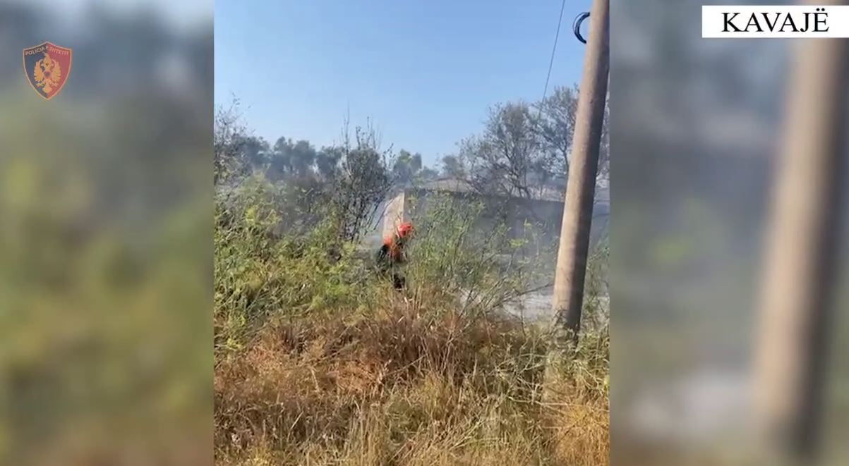 Dogji një sipërfaqe të madhe me pemë frutore, arrestohet 47-vjeçari në Kavajë