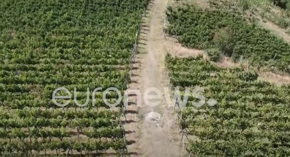 Natyrë përrallore e ushqim bio, Leskoviku tërheq mjaft turistë vendas e të huaj