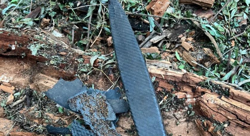 Autoritetet rumune evakuojnë fshatin Plauru pas një sulmi rus në lumin Danub
