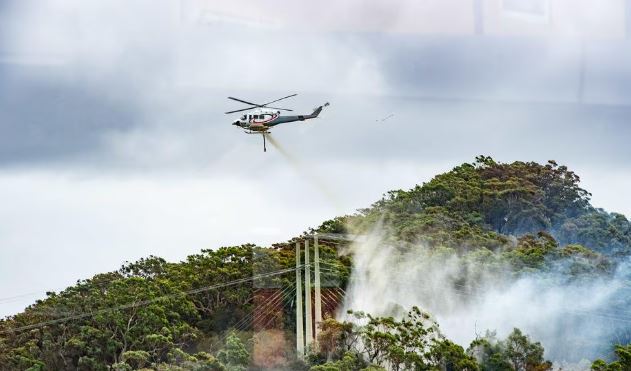 Zjarret në Australi djegin mijëra hektarë  humb jetën një zjarrfikës