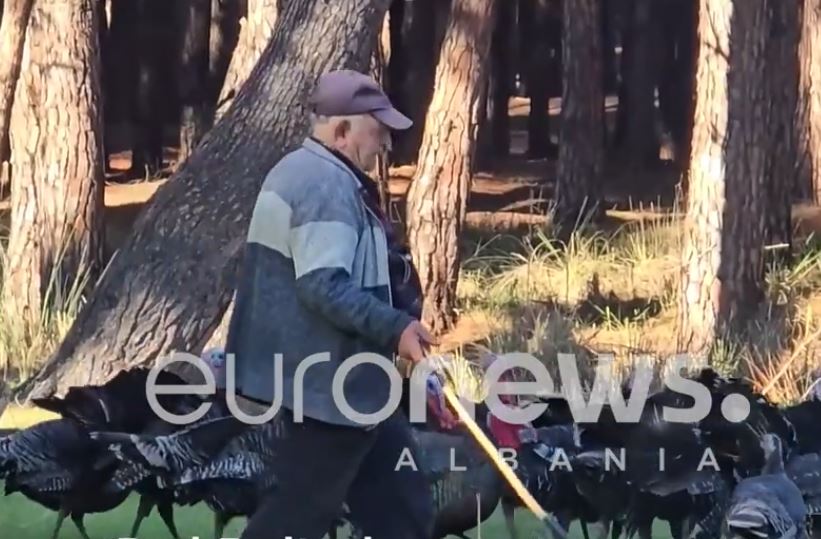 77 vjeçari nga Vlora i kthehet punës për të mbajtur familjen me bukë