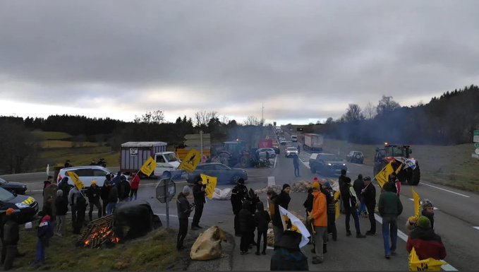 Fermerët francezë në protestë  kundër vendimit të therjes së bagëtive të sëmura