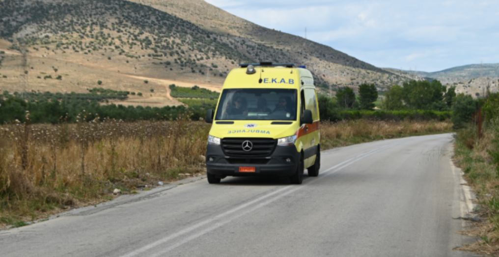 Babai shqiptar  nëna britanike  si e sulmoi për vdekje pit bulli i familjes fëmijën