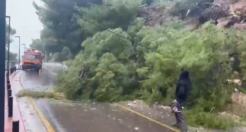 (VIDEO) Rrëzohet pema në Radhimë, punohet për hapjen e plotë të rrugës