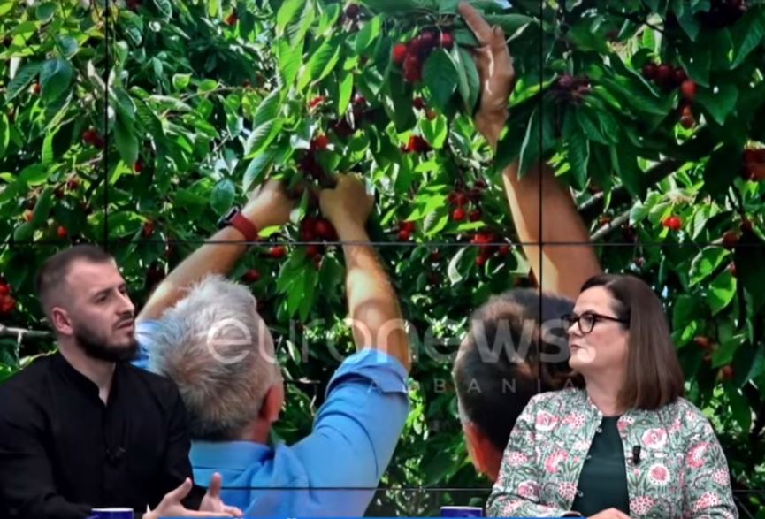 Skema e Treguesve Gjeografik të Mbrojtur   Një hap i rëndësishëm drejt vlerësimit të produkteve shqiptare