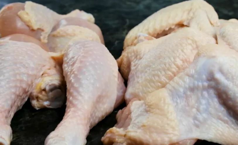 Kosovë, asgjësohen mbi 2000 kilogramë mish pule me salmonelë