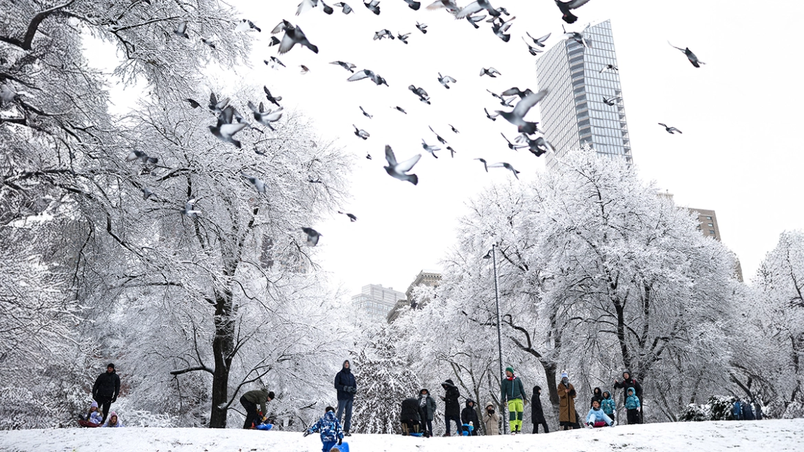 VIDEO  Stuhia e dëborës  paralizon  Nju Jorkun  shpallet gjendje e jashtëzakonshme në Nju Xhersi