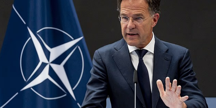  Reagimi do jetë shkatërrues   Rutte  Ukraina do të jetë vija e parë e mbrojtjes