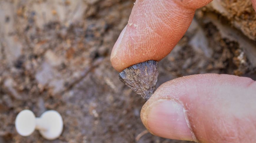 Zbulimi  Njerëzit e ndezën zjarrin 350 000 vjet më herët nga sa mendohej
