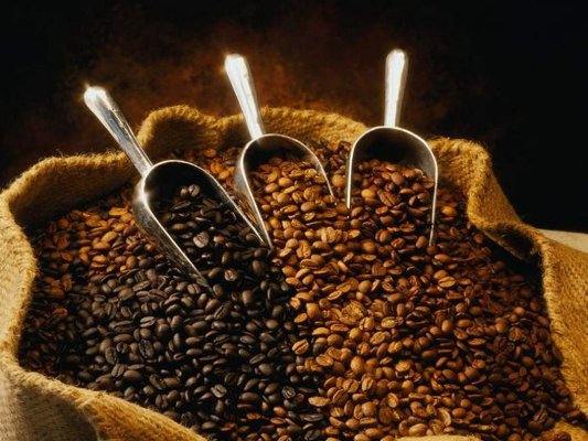 Shqipëria importoi 8,100 tonë kafe, çmimi u rrit 5% për shkak të kërkesës së lartë