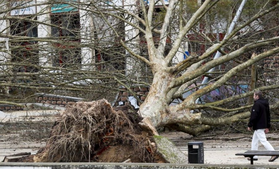 Pesë të vdekur nga stuhia Christine në Portugali, 450.000 shtëpi pa energji elektrike