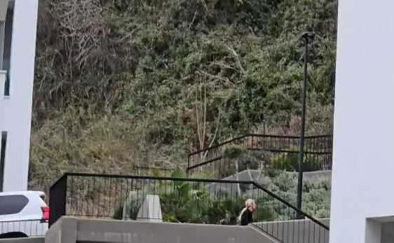 VIDEO/ Vajza e presidentit amerikan në Vlorë, dalin pamjet e vizitës së Ivanka Trump