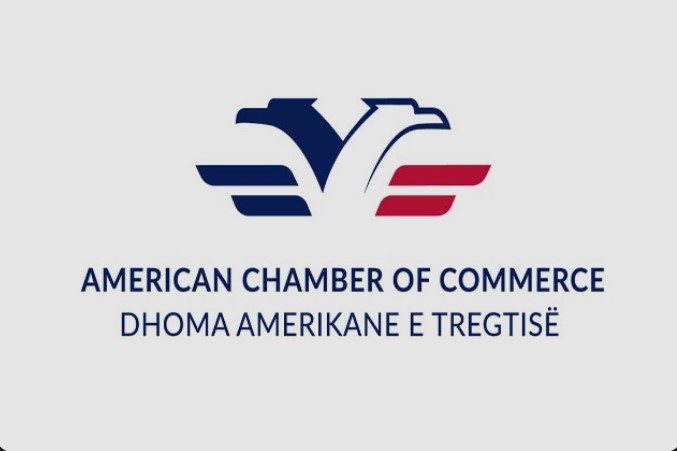 Problemet me e-Albania, Dhoma Amerikane e Tregtisë: Rrezik serioz për bizneset