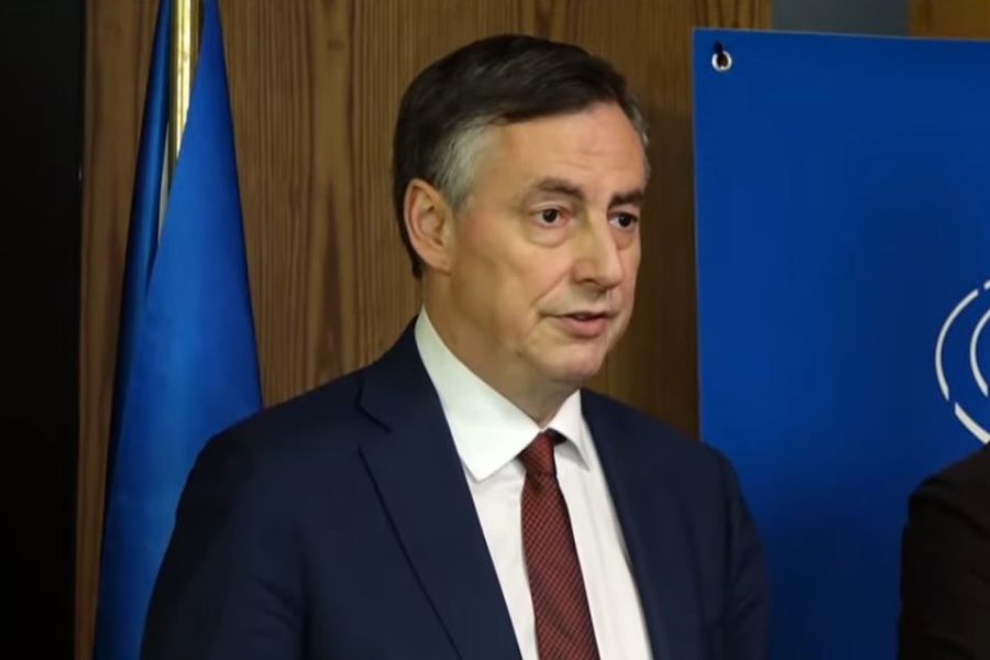 Përfaqësuesi i PE-së McAllister për mediat: Integrimi në BE vendimtar, protestat e dhunshme nuk kanë vend në demokraci