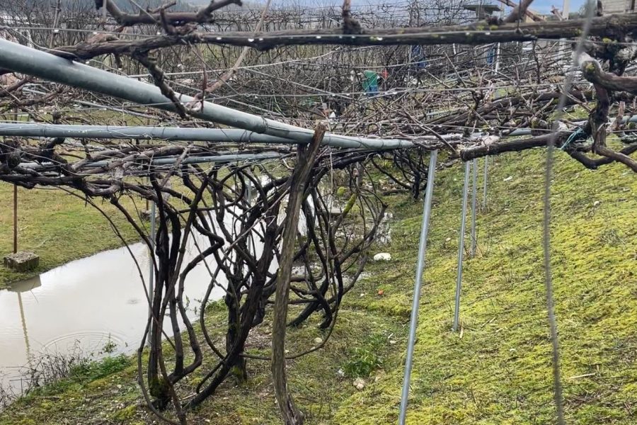 Gjirokastër, përmbytjet dhe erozioni dëmtojnë tokat bujqësore