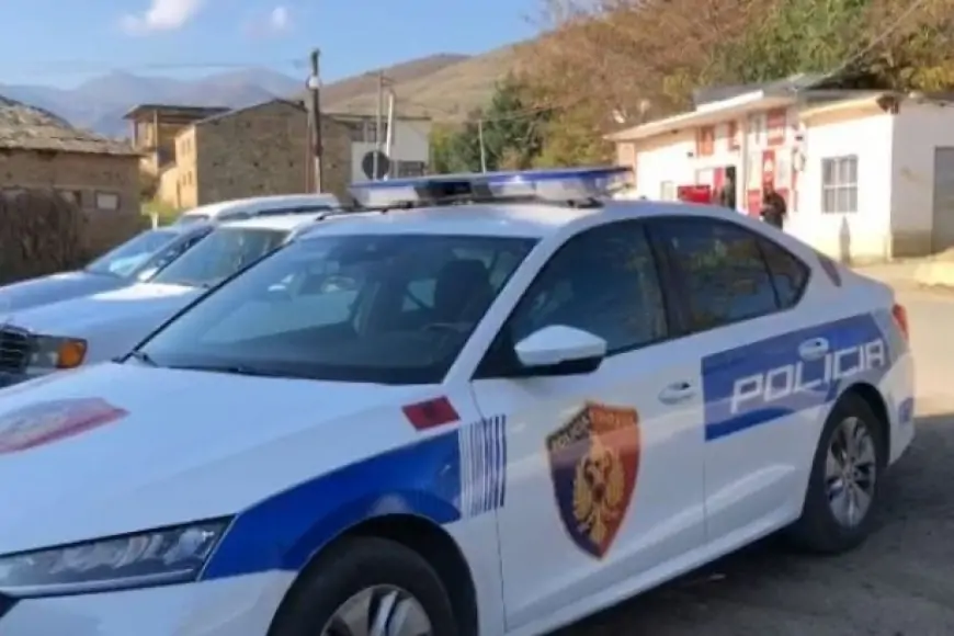 Policia Kufitare e Korçës ndalon 16 emigrantë të paligjshëm