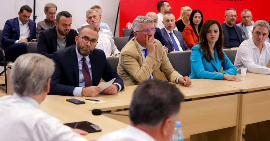 Delegacioni i Kuvendit në Bundestag, PD: Peleshi përjashtoi përfaqësuesit tanë