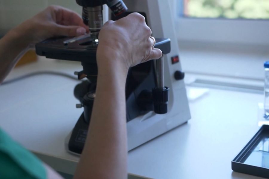 ISHP: 240 raste me tuberkuloz u zbuluan gjatë vitit 2025, në çfarë niveli është tani Shqipëria