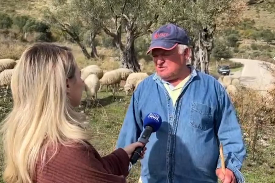 “Blegtoria po shkon drejt zhdukjes”, fermerët në Krrabë: Shteti nuk na ndihmon, të rinjtë kanë ikur