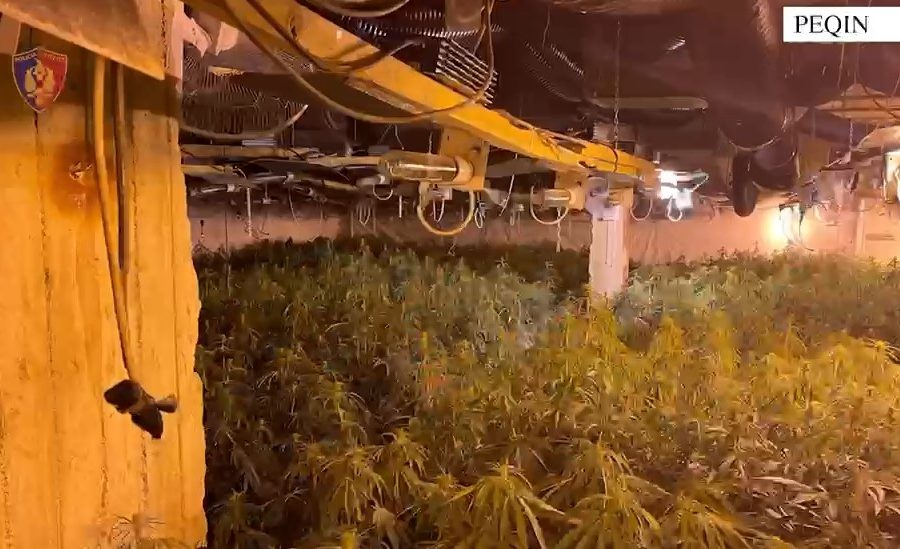 Shtëpia e barit në Peqin, detaje nga operacioni! Një në pranga dhe 4 persona në kërkim