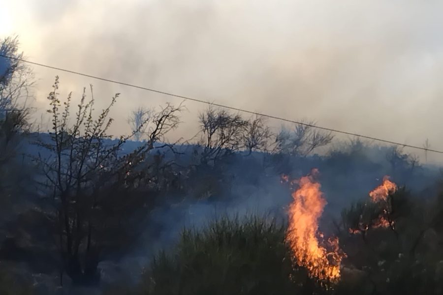 Zjarr në fshatin Sherrisht në Vlorë, era e fortë përhap flakët me shpejtësi