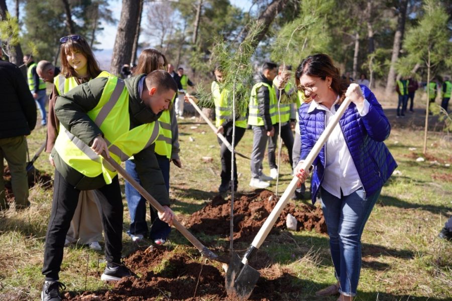 Nismë qytetare në Elbasan, në Kodrën e Krastës mbillen rreth 2,500 pemë të reja