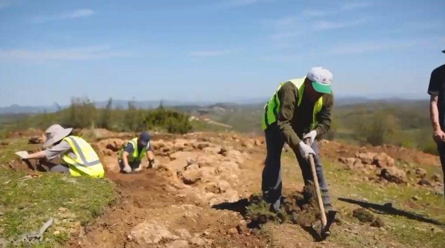 VIDEO/ Zbulim arkeologjik i rrallë në Lushnje, dalin pamjet nga vendi antik