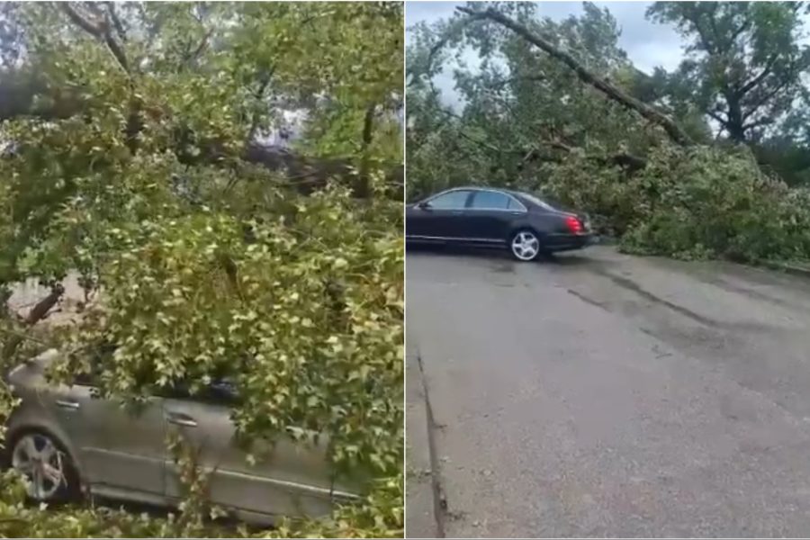 Moti i keq përfshin Durrësin, probleme në qarkullim dhe pemë të rrëzuara